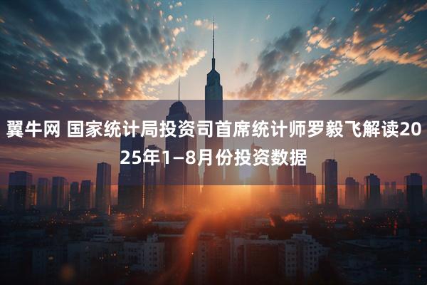 翼牛网 国家统计局投资司首席统计师罗毅飞解读2025年1—8月份投资数据