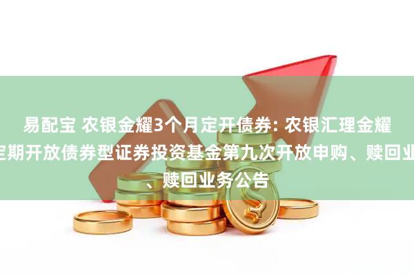 易配宝 农银金耀3个月定开债券: 农银汇理金耀3个月定期开放债券型证券投资基金第九次开放申购、赎回业务公告
