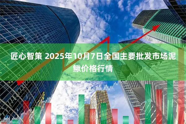 匠心智策 2025年10月7日全国主要批发市场泥鳅价格行情