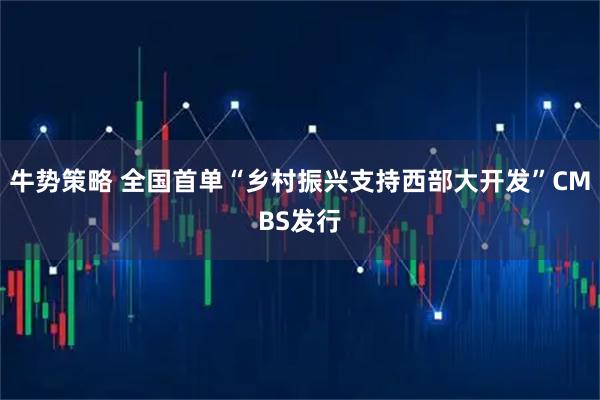 牛势策略 全国首单“乡村振兴支持西部大开发”CMBS发行