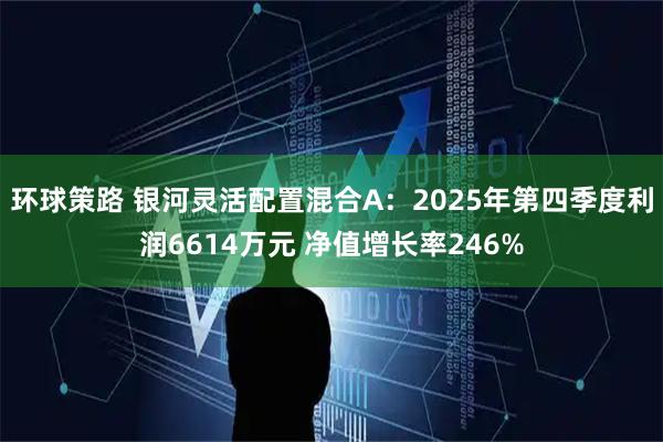 环球策路 银河灵活配置混合A：2025年第四季度利润6614万元 净值增长率246%