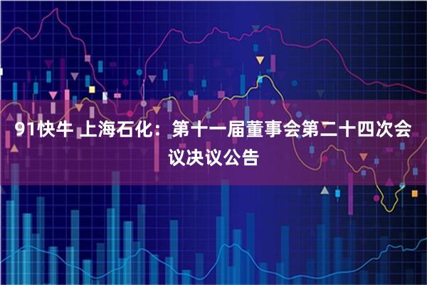 91快牛 上海石化：第十一届董事会第二十四次会议决议公告