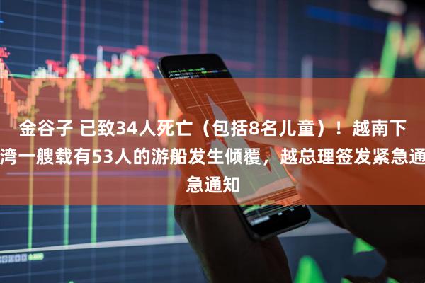 金谷子 已致34人死亡（包括8名儿童）！越南下龙湾一艘载有53人的游船发生倾覆，越总理签发紧急通知